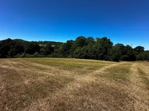 Prodej louky, Nový Jičín, 10482 m2