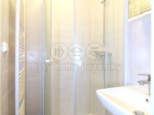 Prodej atypického bytu, Praha - Žižkov, Sudoměřská, 50 m2