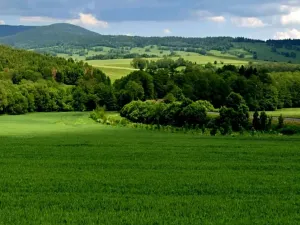 Prodej komerčního pozemku, Králíky, 12500 m2