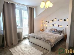 Pronájem bytu 1+1, Brno, Koliště, 49 m2