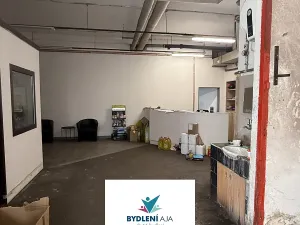 Pronájem obchodního prostoru, Praha, Lodžská, 600 m2