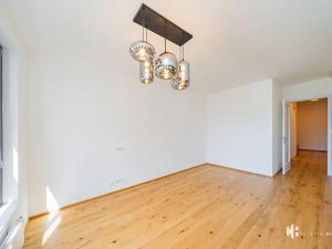 Pronájem bytu 2+kk, Praha - Nusle, Závišova, 58 m2