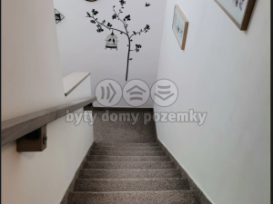 Pronájem bytu 1+kk, Jeseník, Zeyerova, 33 m2