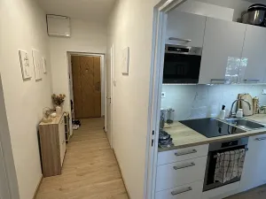 Pronájem bytu 2+1, Olomouc, Kmochova, 55 m2