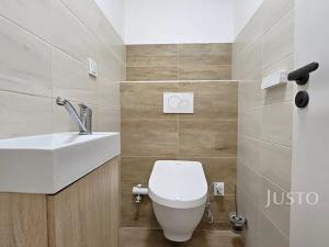 Prodej rodinného domu, Písek, Nová, 276 m2