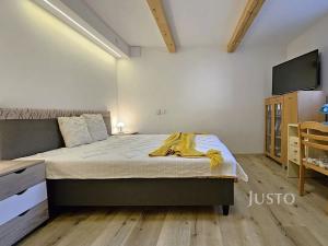Prodej rodinného domu, Písek, Nová, 276 m2