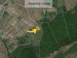 Prodej louky, Horní Věstonice, 5123 m2