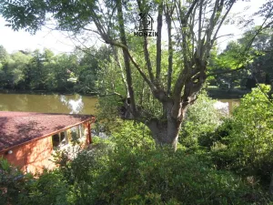 Prodej chaty, Poříčí nad Sázavou, Pod Lutovem, 80 m2