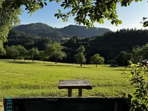 Prodej pozemku pro bydlení, Velká Lhota, 11334 m2