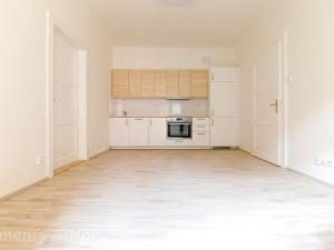 Pronájem bytu 2+kk, Praha - Žižkov, Ševčíkova, 51 m2