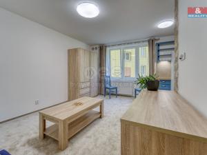 Pronájem bytu 1+kk, Plzeň - Jižní Předměstí, Čechova, 21 m2