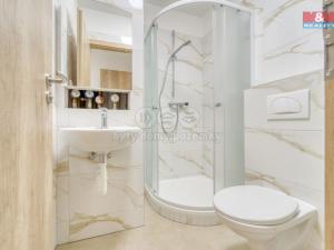 Pronájem bytu 1+kk, Plzeň - Jižní Předměstí, Čechova, 21 m2