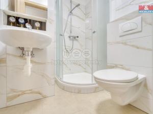 Pronájem bytu 1+kk, Plzeň - Jižní Předměstí, Čechova, 21 m2