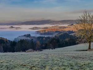 Prodej chalupy, Vysoké nad Jizerou, 165 m2