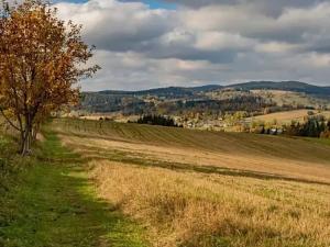 Prodej ubytování, Vysoké nad Jizerou, 165 m2