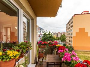 Prodej bytu 3+kk, Praha - Hostivař, náměstí Přátelství, 67 m2