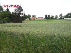 Prodej pozemku pro bydlení, Hořesedly, 985 m2