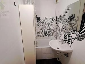 Pronájem bytu 1+kk, Ostrava, Hornopolní, 30 m2