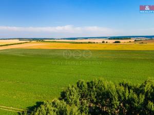 Prodej louky, Kotovice - Záluží, 31349 m2