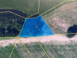Prodej pole, Žďár nad Sázavou, 6249 m2