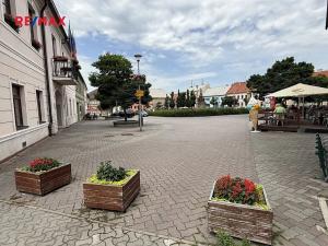 Prodej rodinného domu, Doksy, Panská, 270 m2