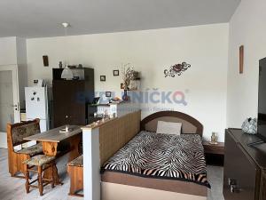 Pronájem bytu 1+kk, České Budějovice, 33 m2
