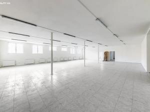 Prodej výrobních prostor, Praha - Ruzyně, 1000 m2