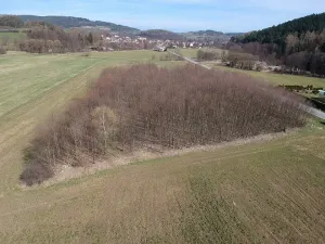 Prodej komerčního pozemku, Čkyně, 10200 m2