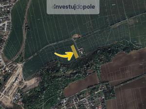 Prodej pole, Nučice, Na Čtyřku, 3233 m2