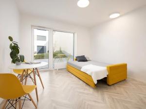 Pronájem bytu 1+kk, Brno, Cejl, 30 m2