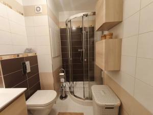 Pronájem bytu 1+1, Tábor, Petrohradská, 38 m2
