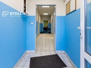 Prodej obchodního prostoru, Krupka, Dlouhá, 1110 m2
