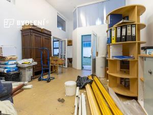 Prodej obchodního prostoru, Krupka, Dlouhá, 1110 m2