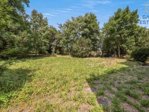 Pronájem bytu 2+kk, Brno, Tomešova, 43 m2