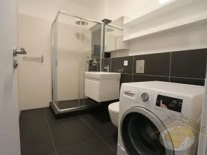 Pronájem bytu 2+kk, Praha - Dejvice, Lindleyova, 51 m2