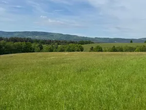Prodej pozemku, Český Dub, 83599 m2