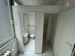 Pronájem skladu, Ostrava - Slezská Ostrava, Uhlířská, 130 m2