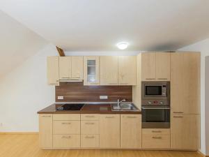 Pronájem bytu 1+kk, Olomouc, Horní hejčínská, 32 m2