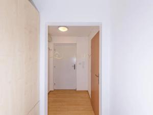 Pronájem bytu 1+kk, Olomouc, Horní hejčínská, 32 m2