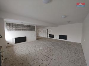 Pronájem obchodního prostoru, Opava - Předměstí, Rybářská, 50 m2