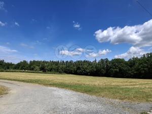 Prodej louky, Hradištko, 1831 m2