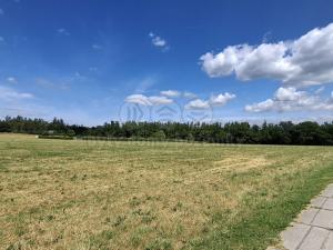Prodej pozemku pro bydlení, Hradištko, 10084 m2