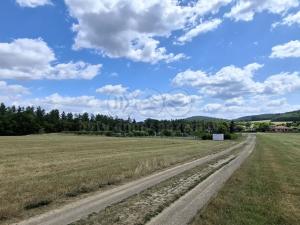 Prodej pozemku pro bydlení, Hradištko, 10084 m2