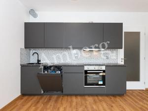 Pronájem bytu 1+kk, Praha - Žižkov, Olgy Havlové, 35 m2