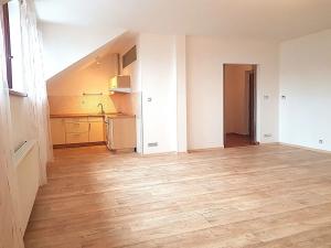 Pronájem bytu 1+kk, České Budějovice, Tylova, 51 m2