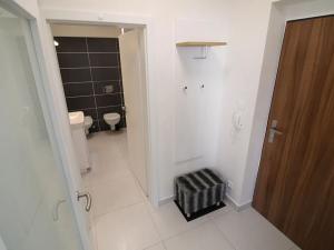 Pronájem bytu 1+kk, Brno, Firkušného, 44 m2