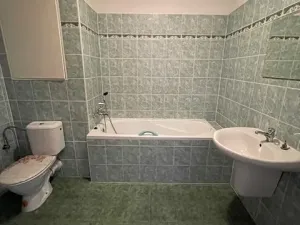 Pronájem bytu 1+kk, Olomouc, Družební, 40 m2