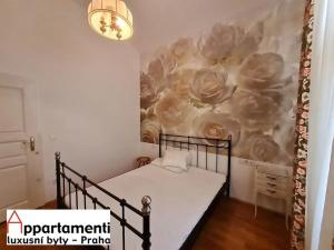 Pronájem bytu 2+kk, Praha - Staré Město, Platnéřská, 51 m2