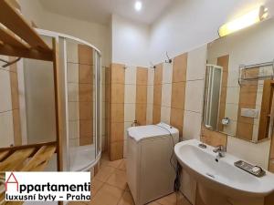Pronájem bytu 2+kk, Praha - Staré Město, Platnéřská, 51 m2