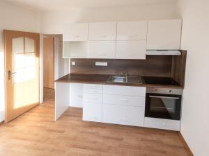 Pronájem bytu 1+1, České Budějovice - České Budějovice 6, Křižíkova, 40 m2